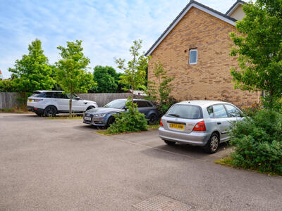 Picture 20